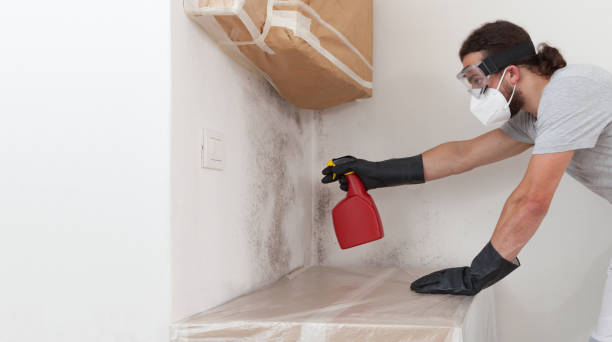 Professional Bathroom Mold Removal technician working in Tyrone, GA
